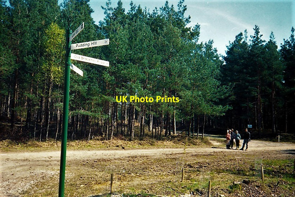 Photo 6"x4" Bracknell Forest Birch Hill\/SU8766 c1991