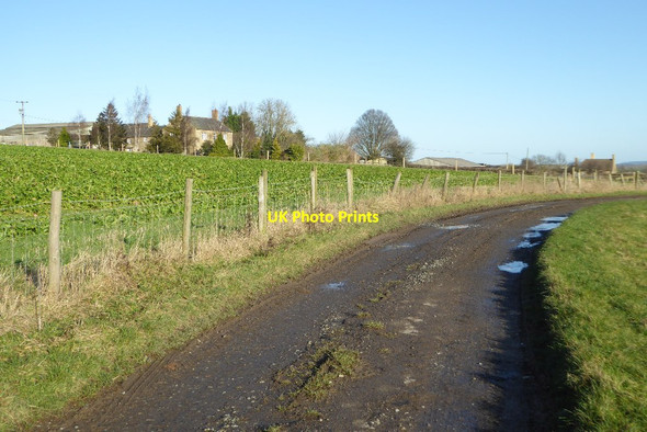 Photo 6"x4" Track approaching Naunton Farm Alderton\/SP0033 c2018