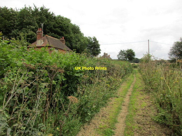Photo 6"x4" Approaching New Pond Cottages Kilmeston c2017
