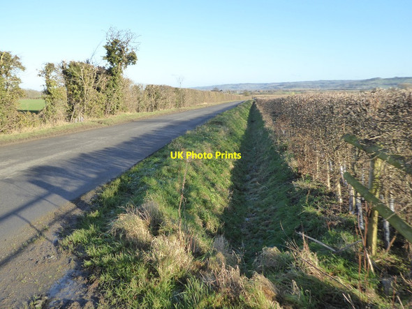 Photo 6"x4" Road from Dumbleton Dumbleton c2018