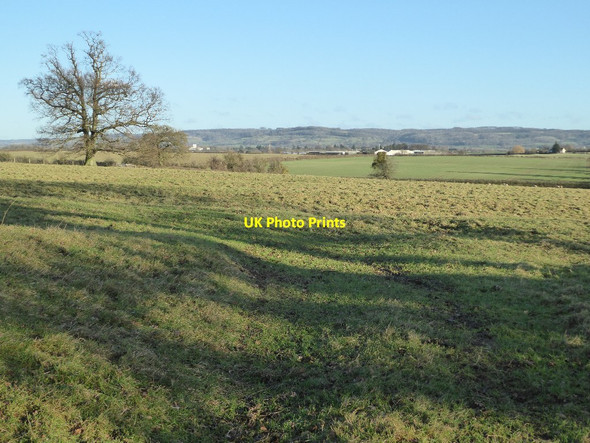 Photo 6"x4" Farmland at Alderton Frampton Court\/SP0132 c2018