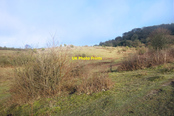 Photo 6"x4" Grangelands Nature Reserve Princes Risborough c2018