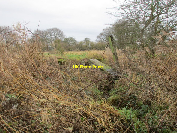 Photo 6"x4" Remains of an old bridge over the Leven Canal Aike c2018 P1