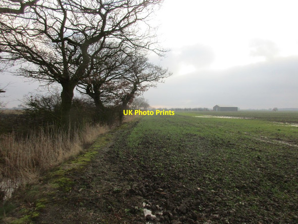 Photo 6"x4" View towards a barn on The Ings near Spaldington Spaldington c2018