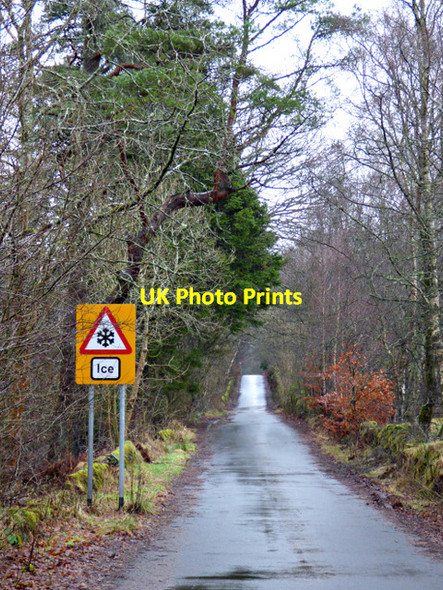 Photo 6"x4" Baldernock Road Milngavie c2018