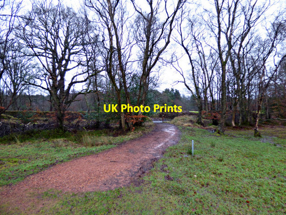 Photo 6"x4" Dougalston Golf Club Milngavie c2018