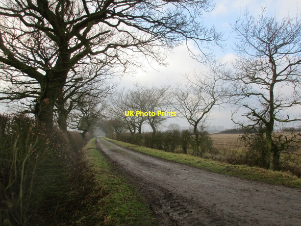 Photo 6"x4" Ings Lane Spaldington c2018