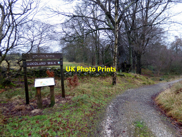 Photo 6"x4" Dougalston Woodland Walk Milngavie c2018