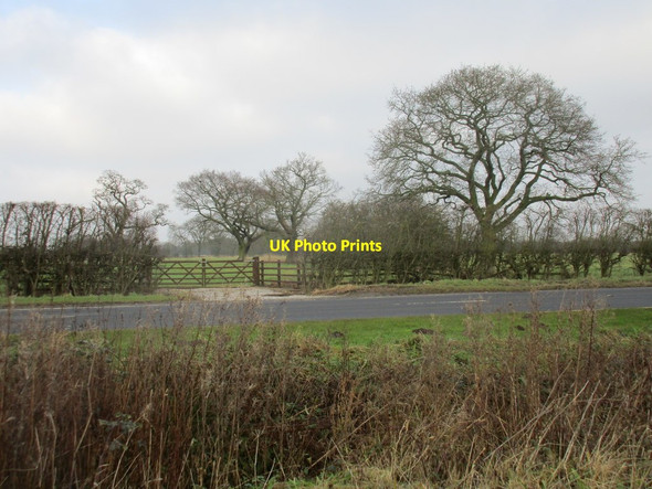 Photo 6"x4" The A163 and oak trees Harlthorpe c2018