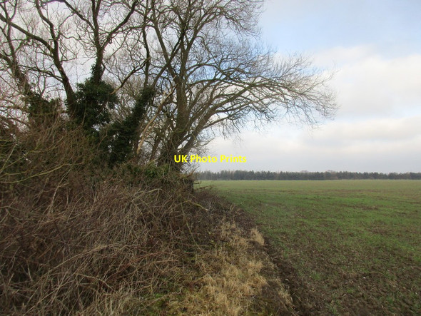 Photo 6"x4" Trees on a silted pond Highfield\/SE7236 c2018