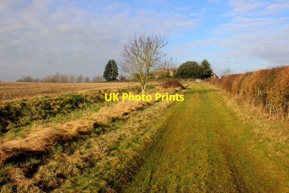 Photo 6"x4" Kingsdon Drove Catsgore c2018