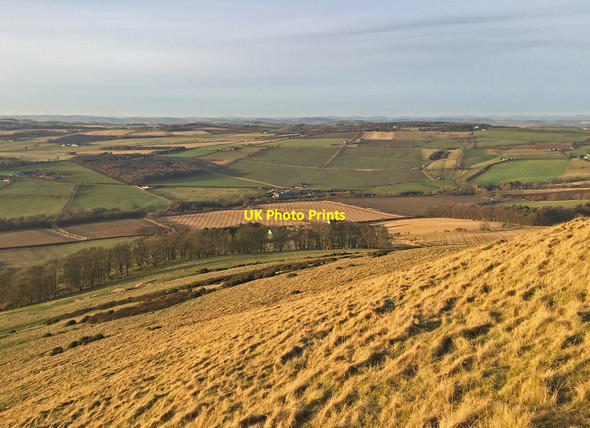 Photo 6"x4" Western slopes of Largo Law Kirkton of Largo or Upper Largo c2018