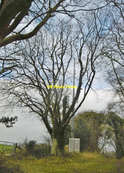 Photo 6"x4" Puddletown, mast Northbrook\/SY7594 c2018