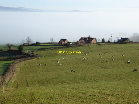 Photo 6"x4" Houses on Marcle Hill Rushall\/SO6434 c2018