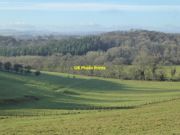 Photo 6"x4" View to Round Hill Wood Woolhope Cockshoot c2018