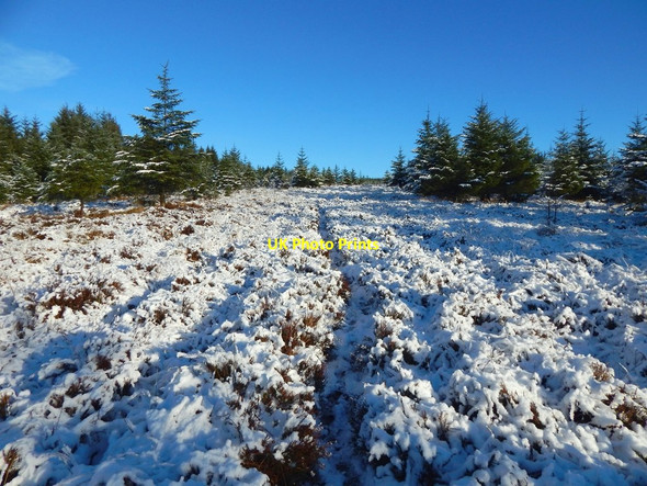 Photo 6"x4" Ascending Pappert Hill Alexandria c2017