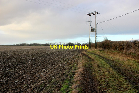 Photo 6"x4" Field margin at Charlton Mackrell Charlton Mackrell c2018