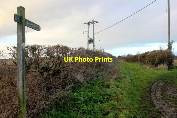 Photo 6"x4" Cary Lane Charlton Mackrell c2018