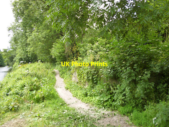 Photo 6"x4" Pillbox by the River Medway East Farleigh c2012