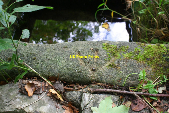 Photo 6"x4" Benchmark on Ebbing and Flowing Well, Buck Haw Brow Settle c2017
