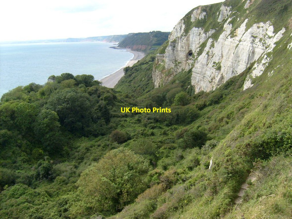 Photo 6"x4" Hooken Cliffs Seaton\/SY2490 c2012