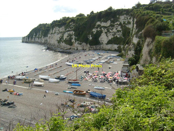 Photo 6"x4" Beer Beach Seaton\/SY2490 c2012