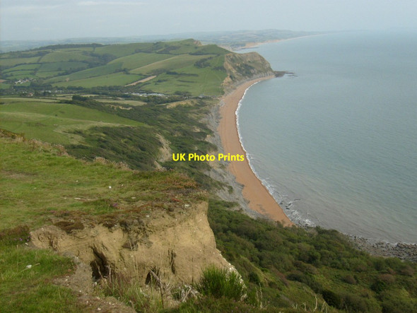 Photo 6"x4" Golden Cap Chideock c2012