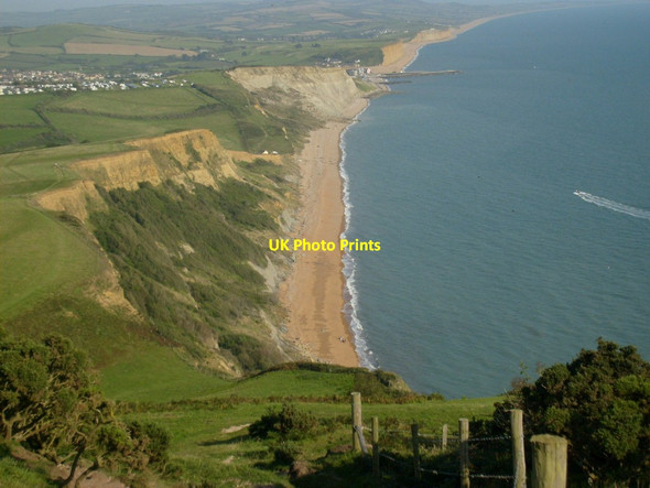 Photo 6"x4" Thorncombe Beacon Eype's Mouth c2012