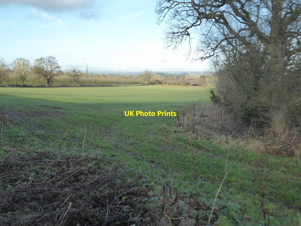 Photo 6"x4" Farmland at Tarrington Eastwood\/SO6240 c2018