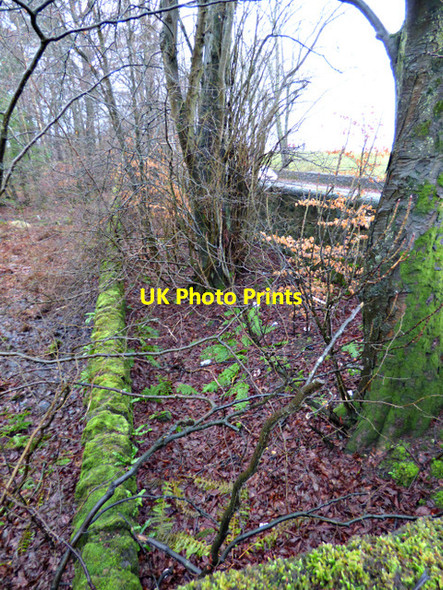 Photo 6"x4" Wall by the A81 Strathblane Road Milngavie c2018 P1