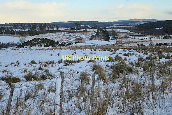 Photo 6"x4" Looking towards Glenarder Upper Knockando c2018