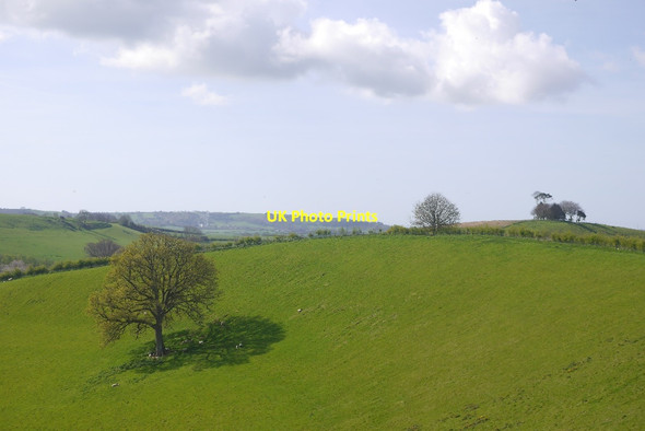Photo 6"x4" Sandstone hills above Melplash Hincknowle c2017