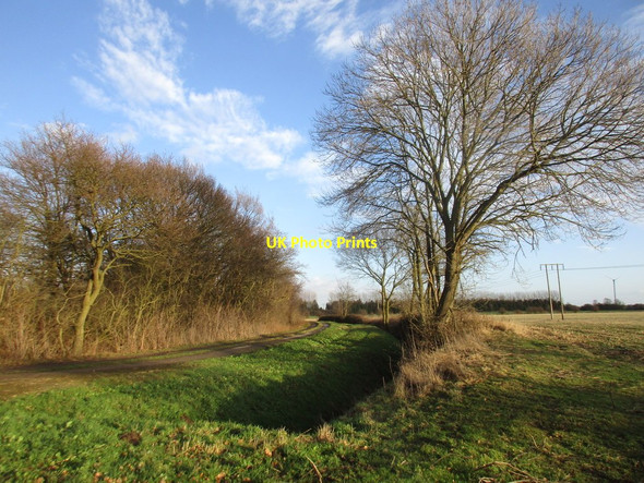 Photo 6"x4" Marsh Lane Carlton\/SE6424 c2018