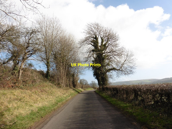 Photo 6"x4" Banwell Road Hillend\/ST3758 c2018