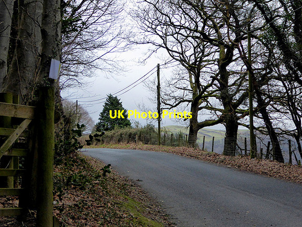 Photo 6"x4" Lane in Cwm Rheidol Nantyronen Station c2018
