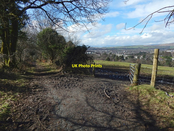 Photo 6"x4" Overtoun House Circular Path Dumbarton c2017