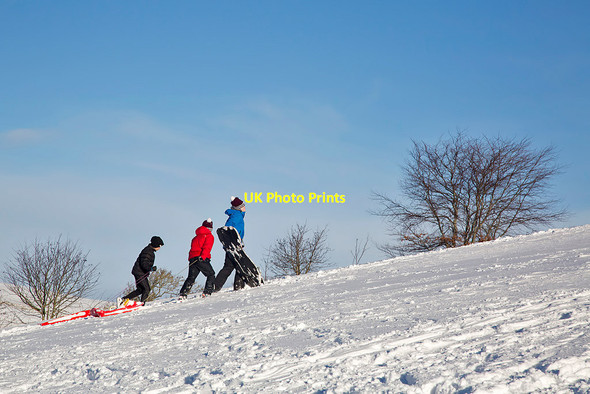 Photo 6"x4" Sledging on Ladhope Golf Course Galashiels c2018