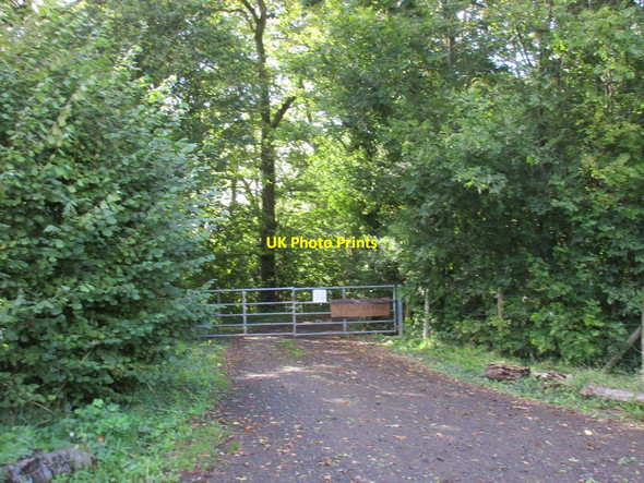 Photo 6"x4" Entrance to Neals Copse East Chelborough c2017