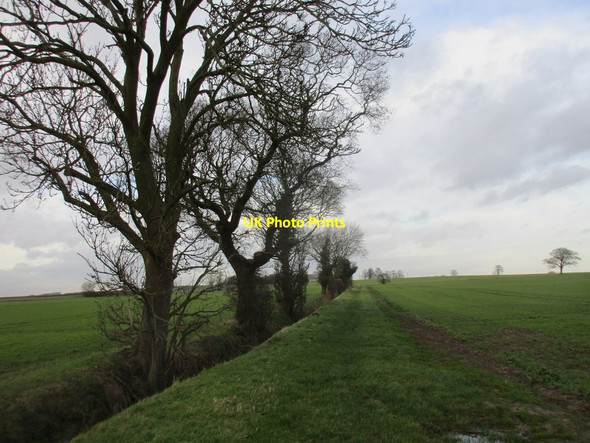 Photo 6"x4" Grassy track near Old Hall Farm Hedon c2018