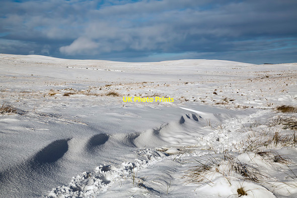 Photo 6"x4" Ladhope Moor in winter Galashiels c2018