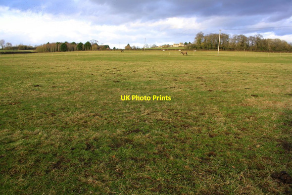 Photo 6"x4" Horses in field between Bletchingdon and Kirtlington Enslow c2018