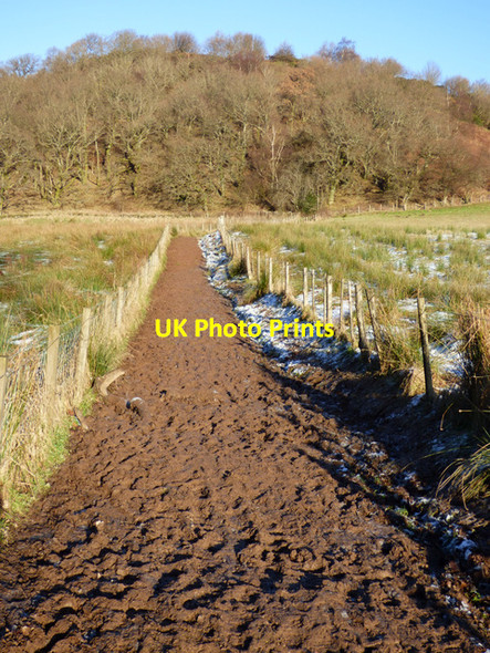 Photo 6"x4" Footpath to Duncryne Hill Gartocharn c2017