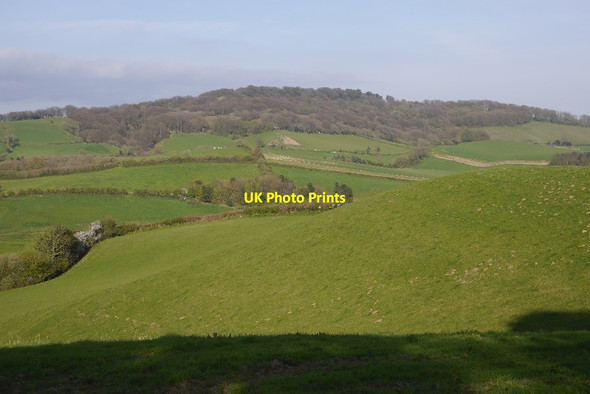 Photo 6"x4" Pasture, Pilsdon Pilsdon c2017