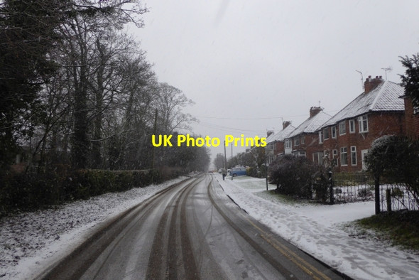 Photo 6"x4" Windmill Lane Heslington c2018