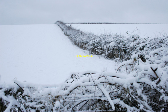 Photo 6"x4" Snow-covered hedges Milngavie c2018