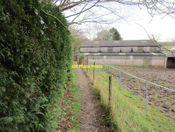 Photo 6"x4" Approaching Melbourne House Farm Brigsley c2018