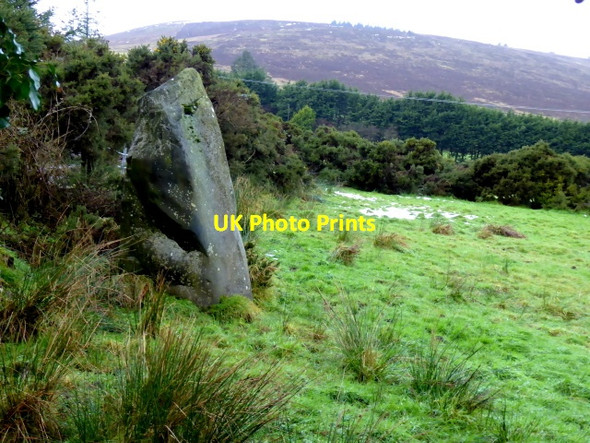 Photo 6"x4" Standing stone, Beltany Mountjoy\/H4277 c2018