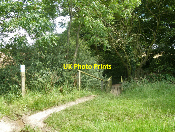 Photo 6"x4" Path towards Great Baddow Galleywood c2012