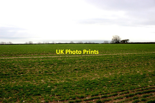 Photo 6"x4" Field near Bindon Landslip Axmouth c2018
