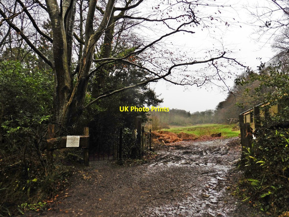 Photo 6"x4" Access point, Wayford Woods Wayford c2018